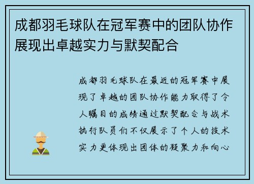 成都羽毛球队在冠军赛中的团队协作展现出卓越实力与默契配合