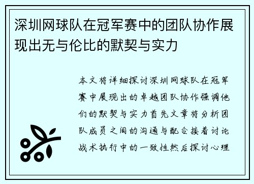 深圳网球队在冠军赛中的团队协作展现出无与伦比的默契与实力