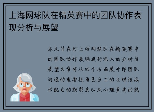 上海网球队在精英赛中的团队协作表现分析与展望