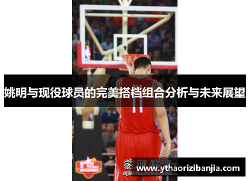 姚明与现役球员的完美搭档组合分析与未来展望