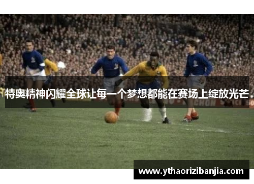 特奥精神闪耀全球让每一个梦想都能在赛场上绽放光芒